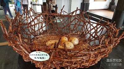 隨拍