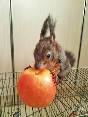 用S7記錄小臭同學(xué)的兒童節(jié)