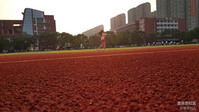 校園 歲月靜好