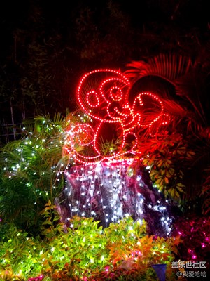 夢(mèng)幻燈節(jié)2