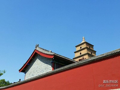 歲月，靜好