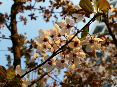 夕陽無限好