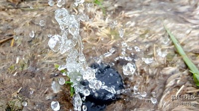 來來來  美麗蘭州大學