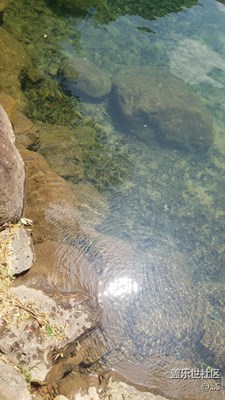旅行隨拍，以及沒事下個水！（下水視頻已更新）