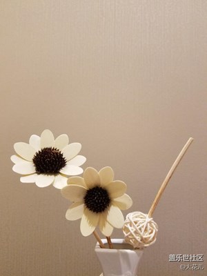 愛不一樣，歲月靜好