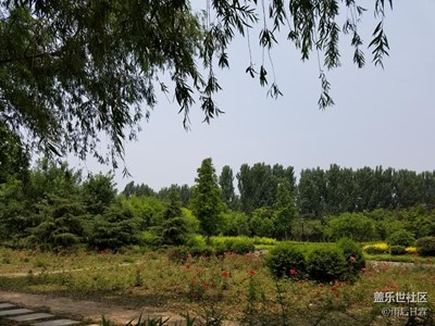 體驗了一把河溝撈魚