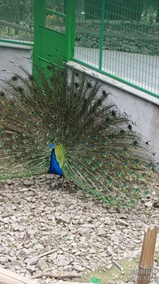 Galaxy S6 Edge隨手拍！