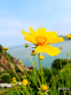 夏天唯有大海和鮮花不可辜負(fù)（一）