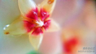 虛幻與現(xiàn)實