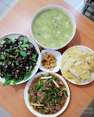 生活記事
