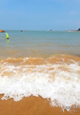 夏天唯有大海和鮮花不可辜負(fù)（二）