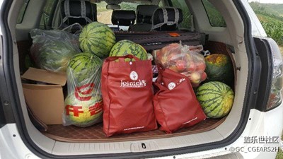 偷西瓜偷桃地方的照片