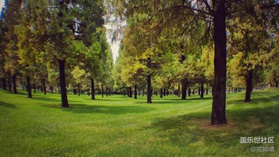 讓心跳慢一點；讓陽光暖一點。