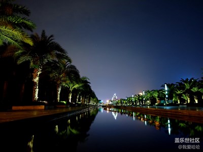 海灣公園夜拍