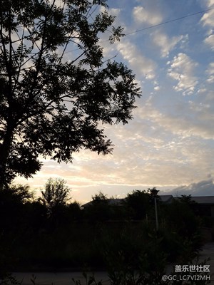 晨曦