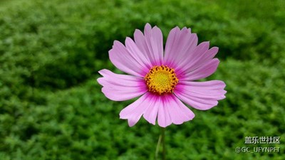 格?；ㄩ_(kāi)