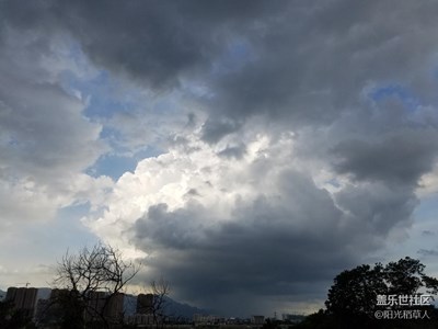 風(fēng)雨欲來風(fēng)滿樓