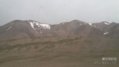 祁連山夏季牧場，我在這避暑，大家都來降溫