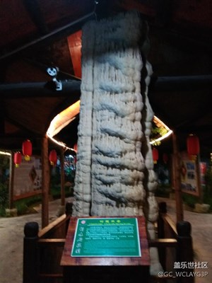 在宜春農(nóng)莊很有特色的照片