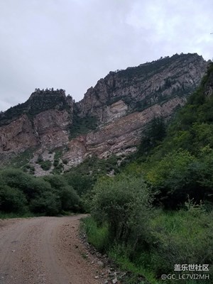 山野
