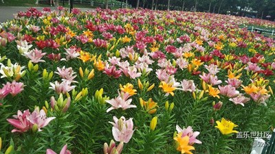 給大家?guī)讖垐D片