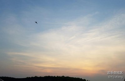 希望大家分享下