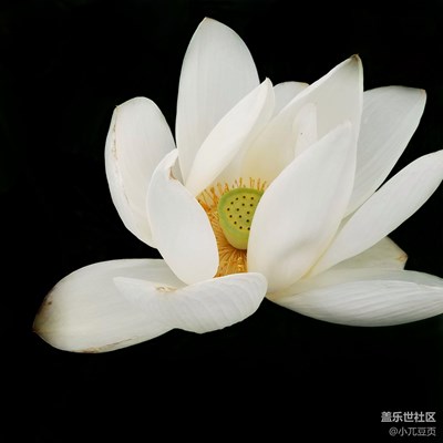 s7edge隨拍
