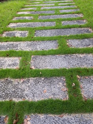 無人路過的小徑