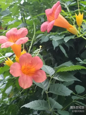 牽?；ㄅ罎M墻啦