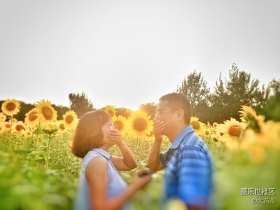 與向日葵的約會（三）愛情