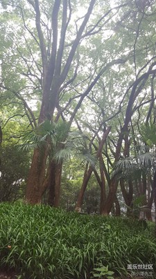 武漢今天好天氣