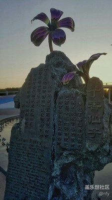 丁香仙子
