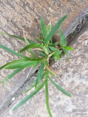 隨拍??