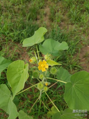 這個(gè)想必大家都熟悉