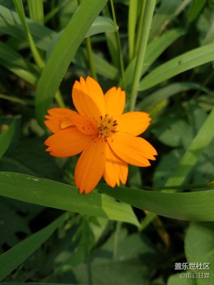 又不認(rèn)識(shí)拉