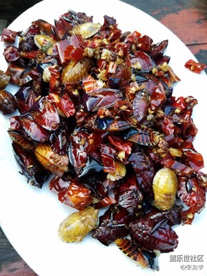 【攝影】今晚上獨特的一道菜