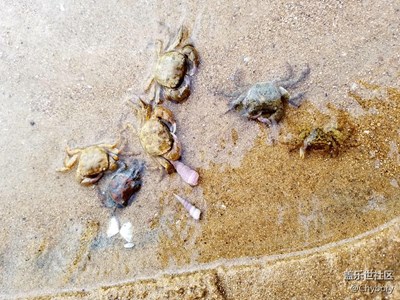 前兩個(gè)月拍的風(fēng)景照，忍不住分享