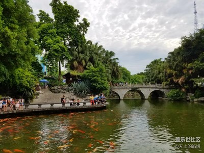 公園喂魚(yú)
