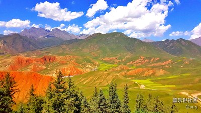 note系列西北行（三）門源花海卓爾山