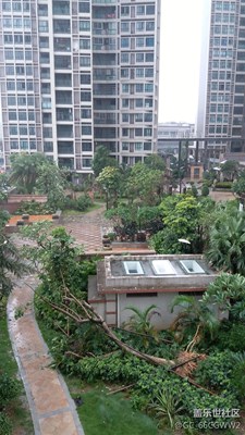 看看有什么不同？