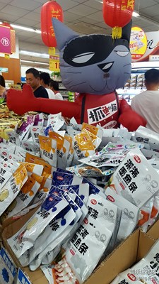 可愛的貓