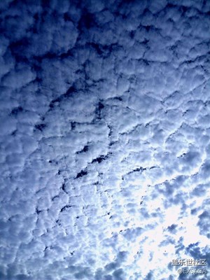 隨拍之聽(tīng)說(shuō)今兒是多云