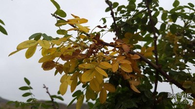 練習(xí)
