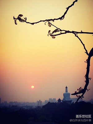 【我與晚霞有個約會】+北京+遙望白塔