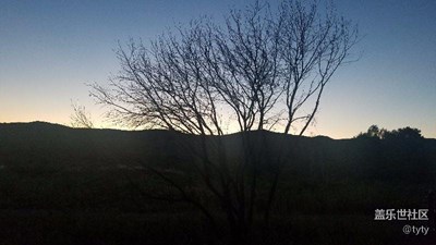 有的樹(shù)已經(jīng)落葉??了