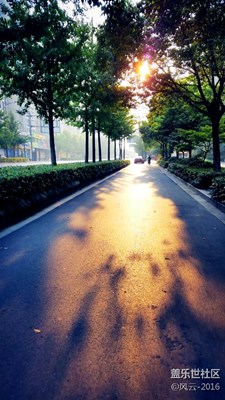 光影之生活印象