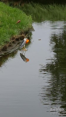 隨拍