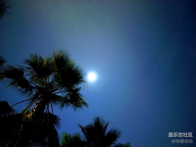 【月圓人團(tuán)圓】+廈門+中秋大博餅