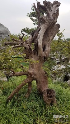 帶著note7游蘇州