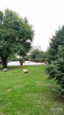 構(gòu)圖很重要